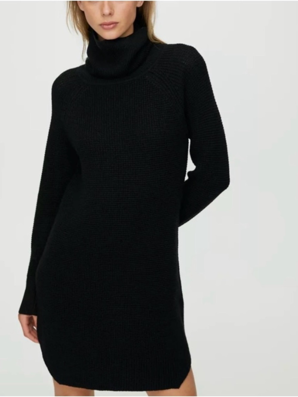 Wilfred Free Bianca Dress in Black size XS